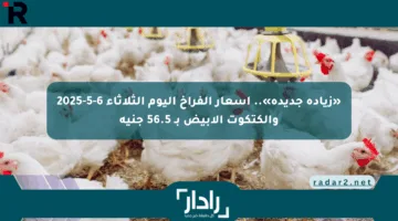 «زيادة جديدة».. أسعار الفراخ اليوم الثلاثاء 6-5-2025 والكتكوت الأبيض بـ 56.5 جنيه